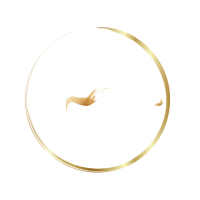 Haven Beauty & Aesthetics